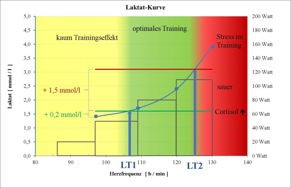 Optimale Trainings-Herzfrequenz in Abhängigkeit vom Laktat.